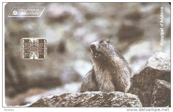 AND-049 TARJETA DE ANDORRA DE UNA MARMOTA (NUEVA-MINT SIN BLISTER) - Andorra