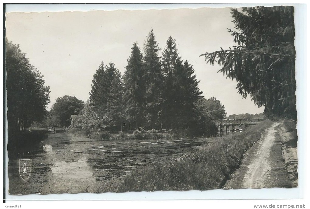 Argent-sur-Sauldre-Étang Du Puits-Arrivée D'eau Du Canal Dans L'étang Et écluse Des Fougères-(CPSM). - Argent-sur-Sauldre