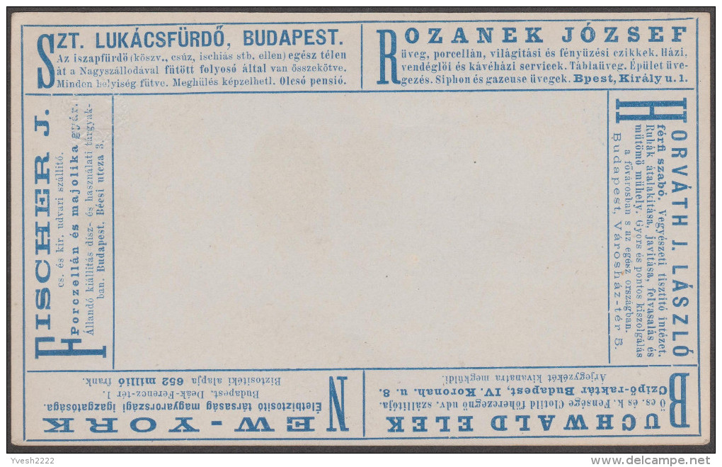 Hongrie 1896. Carte Postale Annonces. Bains De Boue, Verre, Porcelaine, Lumière, Chaussures, Chimie, Textile - Kuurwezen