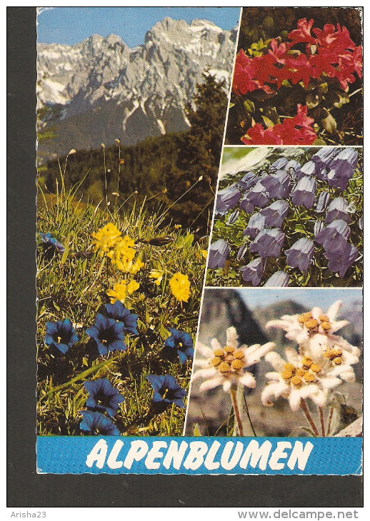 5k. FLORA - Flowers Alpenblumen In Austria - Alpenflora Stengelloser Enzian Alpenrose Glockenblume Edelweiss - Plantes Médicinales