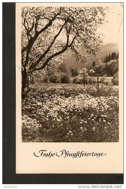 5k. Germany, Frohe Pfingstfeiertage - Erhard Neubert - Pinksteren