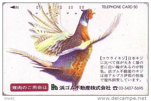 Télécarte Japon / 110-160180 - Oiseau FAISAN - PHEASANT Bird Japan Phonecard - FASAN Vogel - 2481 - Gallinacés & Faisans