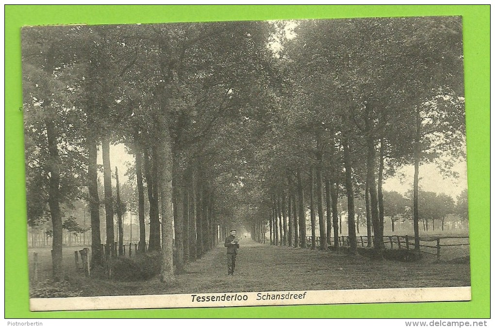 TESSENDERLOO - Schansdreef (1911) - Tessenderlo