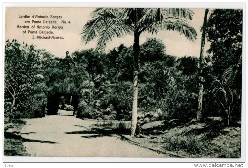 Azores, Garden, Early 1900´s - Açores