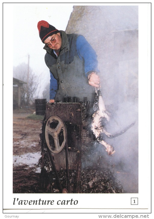 Herbignac 1991 : Jacques Leroux Plume Un Poulet Au Village De L'Ongle - Photo Yves Maurice N140 - Herbignac