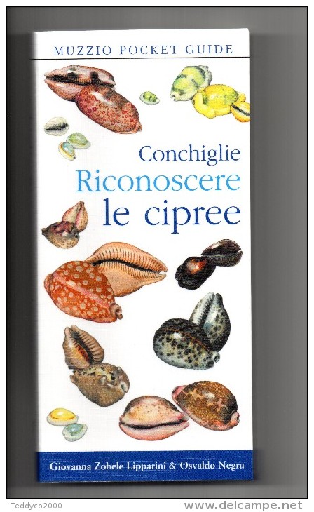 CONCHIGLIE RICONOSCERE LE CIPREE Giovanna Zobele Lipparini & Osvaldo Negra Muzzio Pocket Guide - Enciclopedie