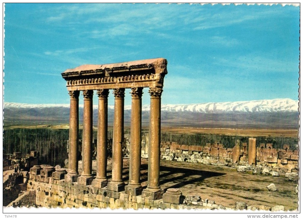 C P S M-C P M--LIBAN--BAALBECK--colonna De Du Temple De Jupiter-- Voir 2 Scans - Liban