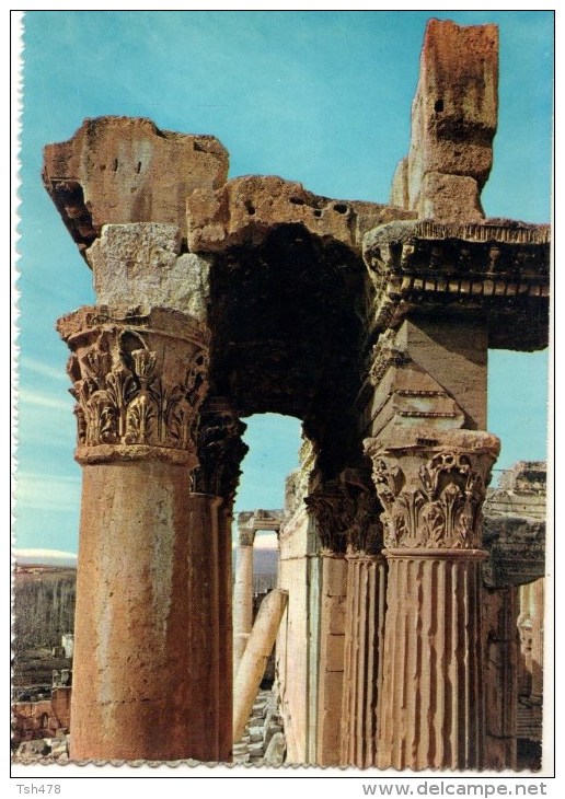 C P S M-C P M---LIBAN---BAALBECK--détails Du Temple De Bacchus-- Voir 2 Scans - Liban