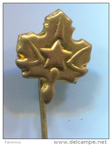 SCOUT, Scoutisme, Eclaireur -  Yugoslavia, Metal, Pin, Badge - Scoutisme