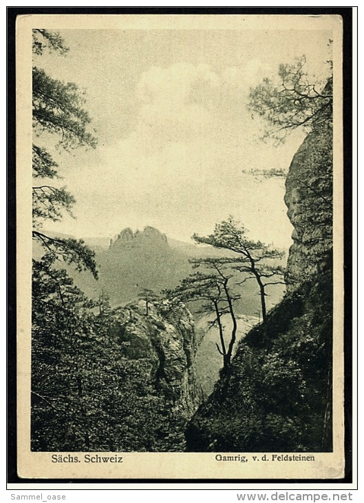 Der Gamrig Bei Rathen  -  Sächs. Schweiz   -  Ansichtskarte Ca.1925    (3516) - Rathen