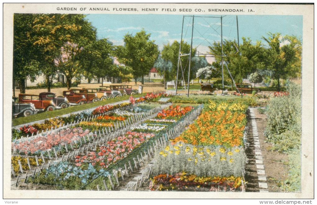 Garden Of Annual Flowers, Henry Field Seed Co, Shenandoah - Autres & Non Classés