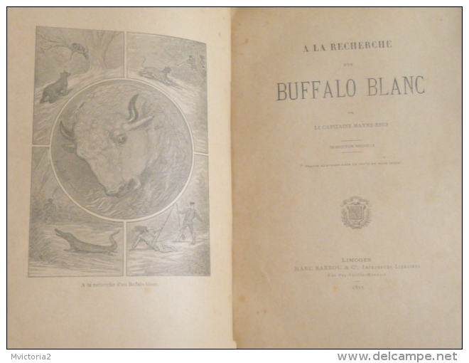 Littérature - Sciences Et Voyages - " A LA RECHERCHE D´UN BUFFALO BLANC" Par Mayne REID, 1893 - 1801-1900