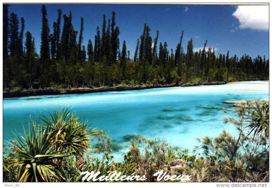 NOUVELLE CALEDONIE - NOUMEA - Carte De Voeux - Nouvelle Calédonie