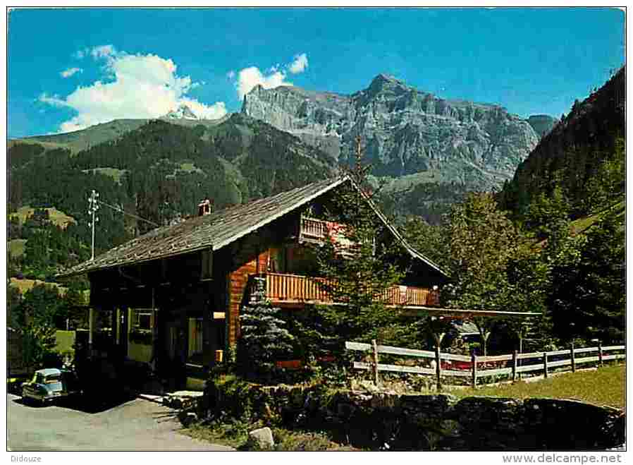 Suisse - Champéry - Pension- Restaurant Grand-Paradis - Automobiles - Voir Scans Recto-Verso - Champéry