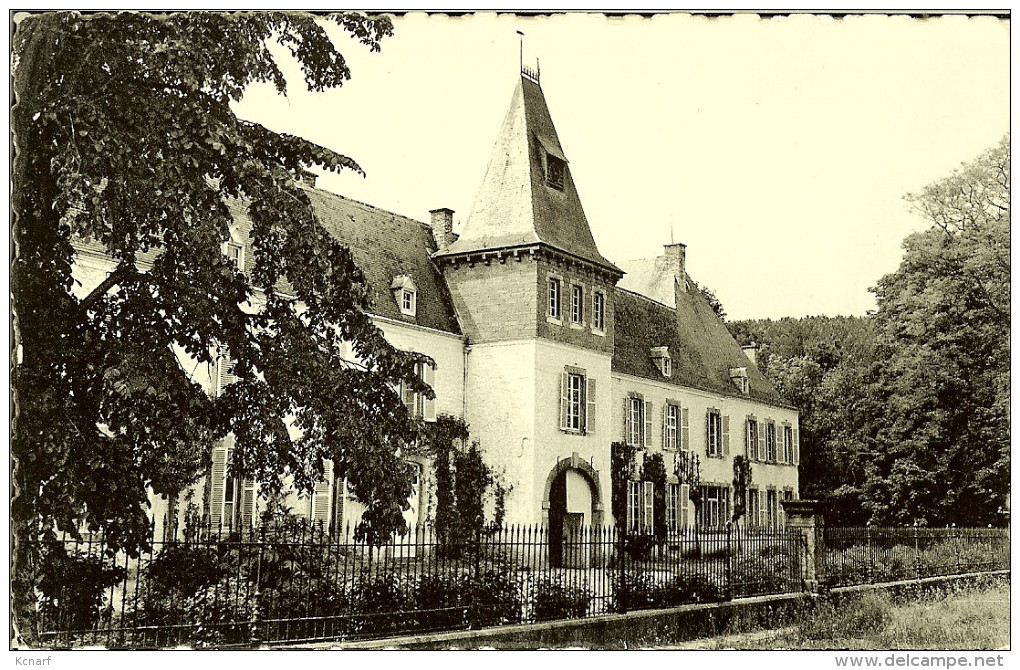 CP De RESTEIGNE-sur-LESSE " Le Vieux Château " - Tellin