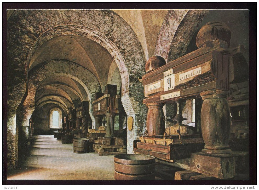 CPM Neuve Allemagne EBERBACH Im RHEINGAU Historische Weinkeltern Ehemalige Zisterzienser Abtei Pressoirs Abbaye - Eberbach