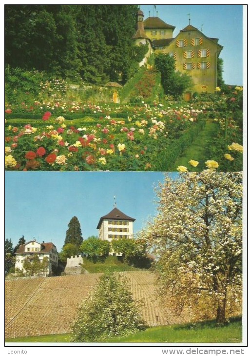 SCHLOSS HEIDEGG Luzern Gelfingen Rosengarten 2 Karten - Gelfingen