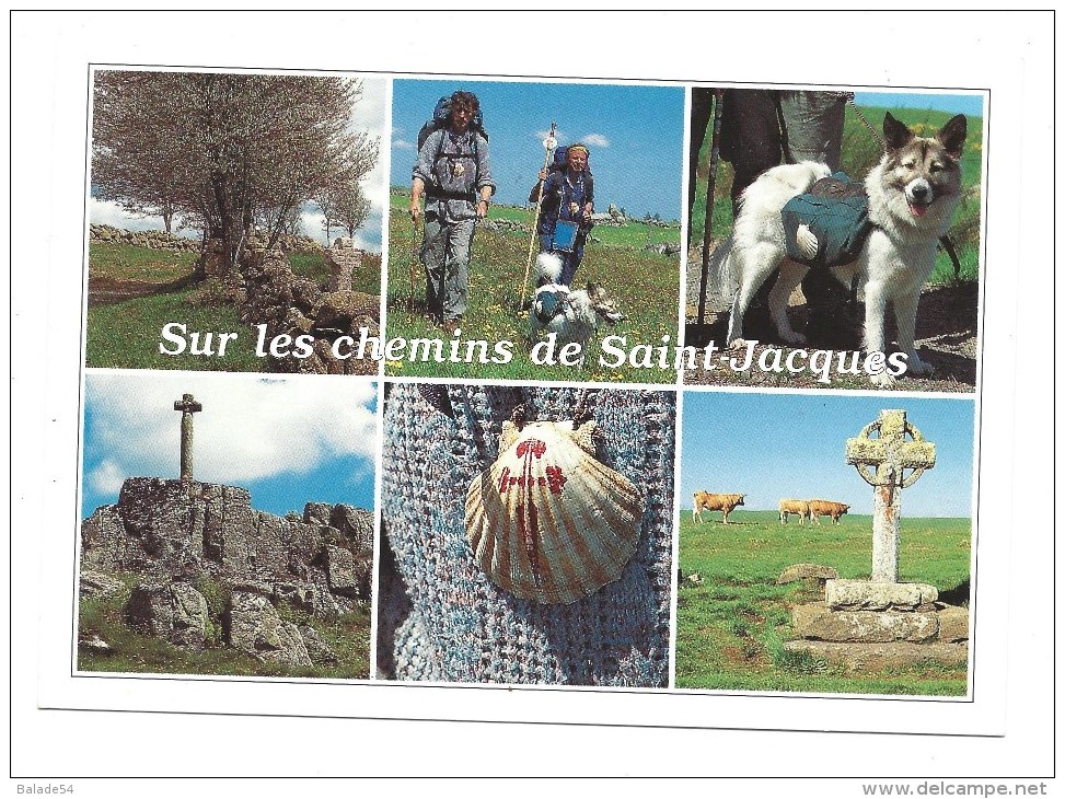 CPM - Sur Les CHEMINS De SAINT-JACQUES (48) Multivues : Pélerins, Chien, Croix, Coquille, Vaches...) - Autres & Non Classés