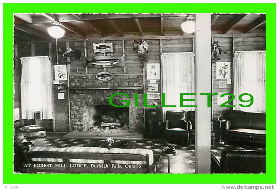 BURLEIGH FALLS, ONTARIO -  AT FOREST HILL LODGE - FIRE PLACE - CANADIAN POST CARD CO LTD - - Autres & Non Classés