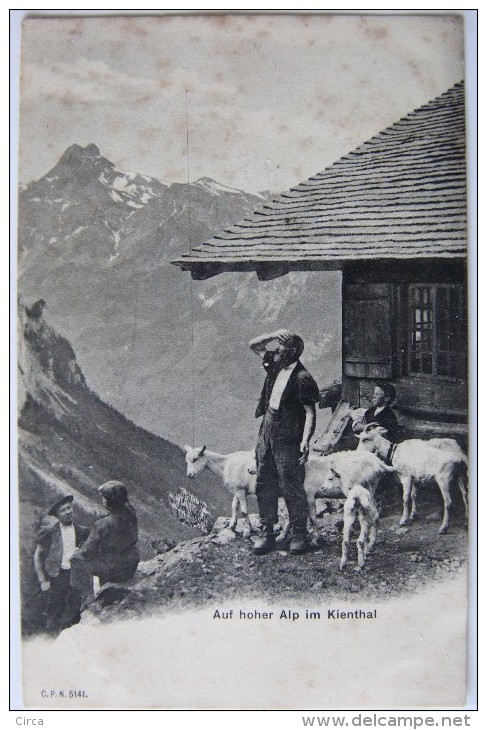 Auf Hoher Alp Im Kienthalb (Suisse), Carte Postale Ancienne. - Thal