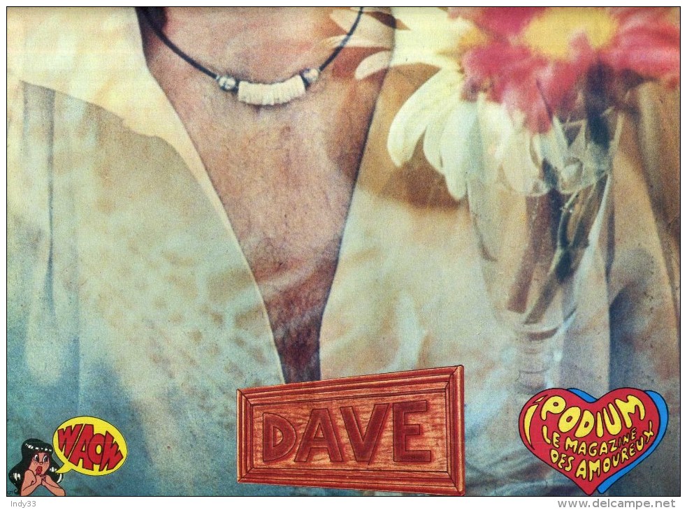 - POSTER DAVE   . DOUBLE PAGE DU MAGAZINE PODIUM 1978 . - Plakate & Poster