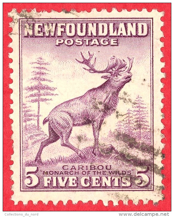 Newfoundland #  257 - 5 Cents  - O - Dated  1941-1944 - Caribou /  Caribou - 1908-1947