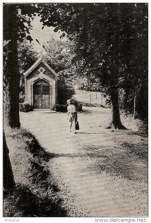 DILBEEK-KAPEL VAN StALENA OP DE WIJK St TERESIA - Dilbeek