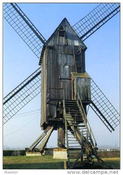 APPELTERRE-EICHEM Bij Ninove (O.Vl.) - Molen/moulin - "Wildermolen" Vóór De Restauratie, In 1981 - Prachtige Close-up! - Ninove