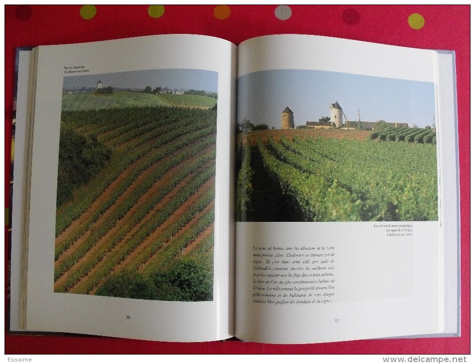 Anjou Pays D'images. 2002. 142 Pages. Belles Photos De Philippe Caharel - Pays De Loire