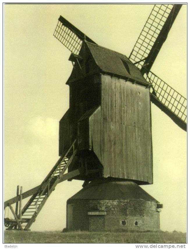 KRUISHOUTEM (O.Vl.) - Molen/moulin - Prachtige Close-up Van De Verdwenen Kapellemolen In 1933 (afkomstig Uit Eke) - Kruishoutem