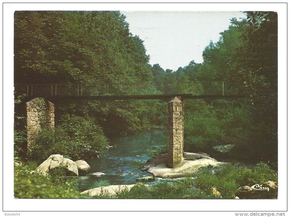 CPM - AIGREFEUILLE-SUR-MAINE (44) Passerelle Sur La Petite Maine - Aigrefeuille-sur-Maine