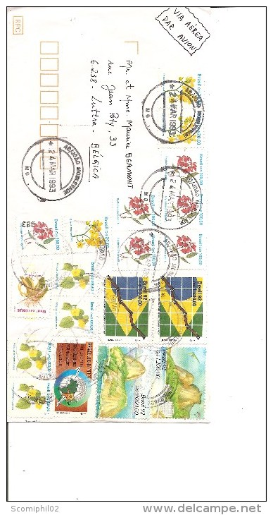 Brésil ( Lettre Par Avion De 1993 Vers La Belgique à Voir) - Lettres & Documents
