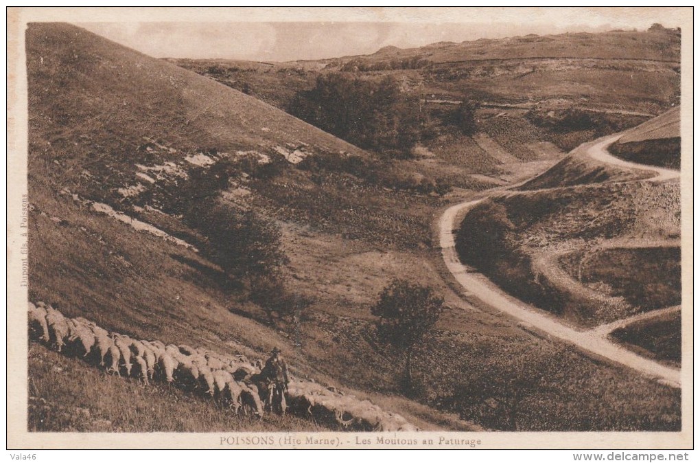 POISSONS (Haute-Marne) - Les Moutons Au Paturage - Poissons