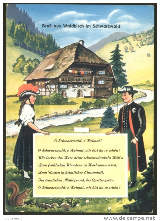 WALDKIRCH IM SCHWARZWALD LEPORELLO POSTCARD - Waldkirch