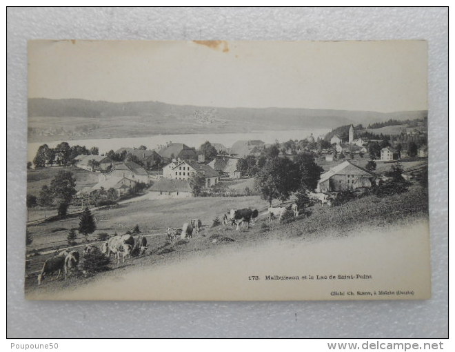 CPA 25 Doubs MALBUISSON Et Le Lac De  Saint -Point  - Troupeau De Vaches Dans Le Pré -  Cliché Ch.simon à Maiche 1910 - Valentigney