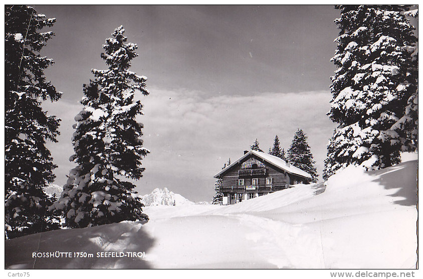 Autriche - Seefeld - Rosshütte - Hütte / Refuge  / Postal Marked - Seefeld