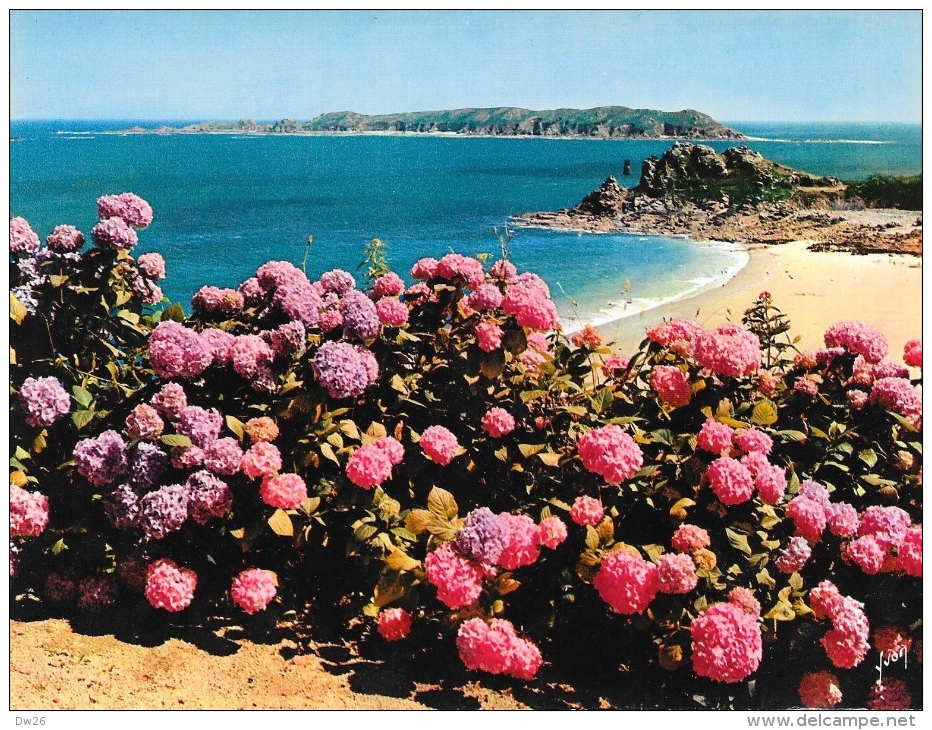 La Bretagne - Perros-Guirrec - Plage De Trestrignel - Carte Yvon Grand Format (15x21), Non Circulée - Perros-Guirec