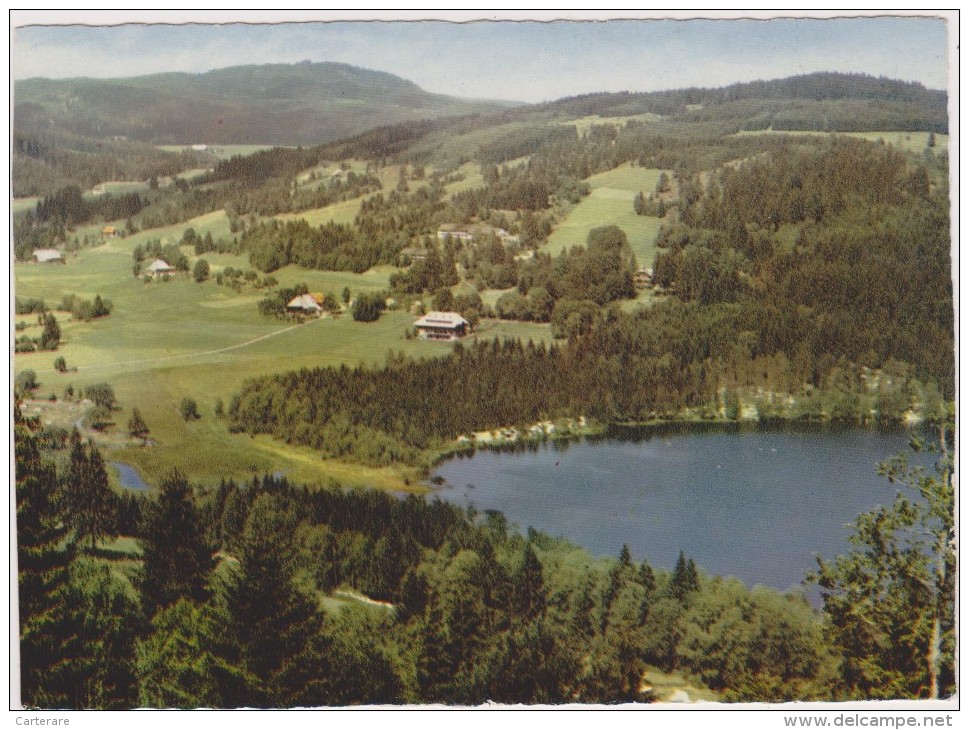 Allemagne,GERMANY,deutsch Land,BADE WURTEMBERG,land,TITISEE,lac De Foret Noire,glaciaire,schwarzwa Ld - Furtwangen