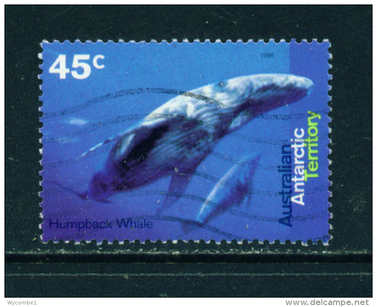 AUSTRALIAN ANTARCTIC TERRITORY - 1995 Humpback Whale 45c Used As Scan - Used Stamps