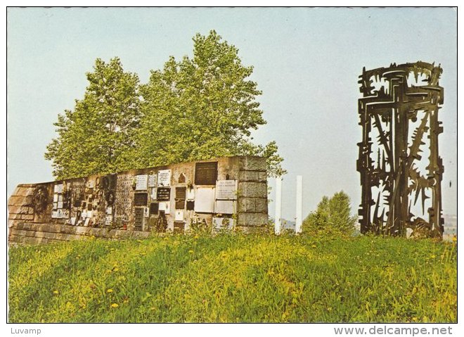 MAUTHAUSEN - AUSTRIA - F/G Colore - LAGER NAZISTA   (230310) - Gevangenis