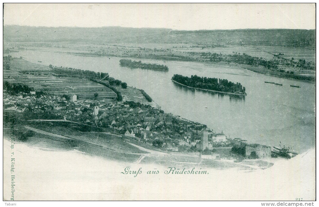 GERMANY RÜDESHEIM AM RHEIN UNUSED VINTAGE POSTCARD CCA 1900 - Ruedesheim A. Rh.