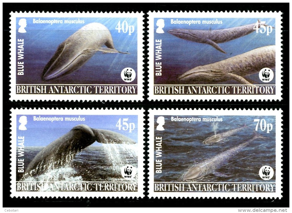 TERRITORIO ANTARTICO BRITANNICO (BAT) 2003** - Balene - WWF  - 4 Val. MNH (set Completo) Come Da Scansione - Ballenas