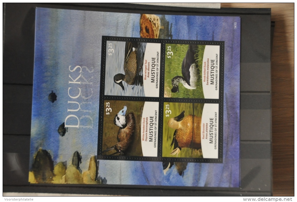 N 262 ++ GRENADINES OF ST.VINCENT 2014 BIRDS OISEAUX VOGELS DUCK CANART EEND MNH ** - St.-Vincent En De Grenadines