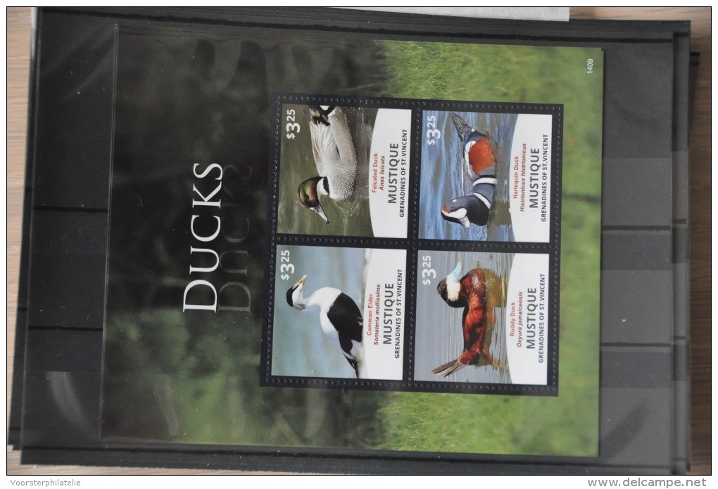 N 261 ++ GRENADINES OF ST.VINCENT 2014 BIRDS OISEAUX VOGELS DUCK CANART EEND MNH ** - St.-Vincent En De Grenadines