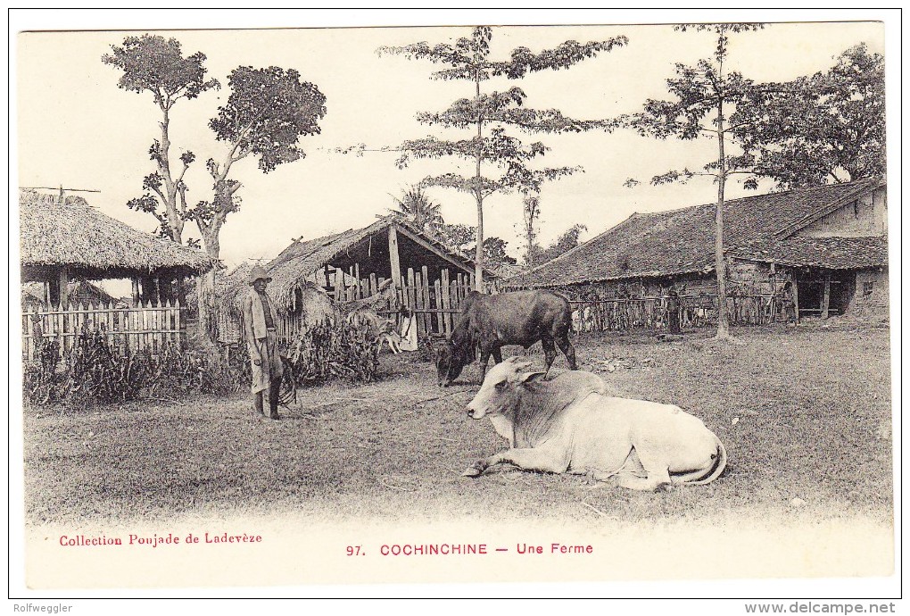 Cochonchine - Une Ferme - Viêt-Nam