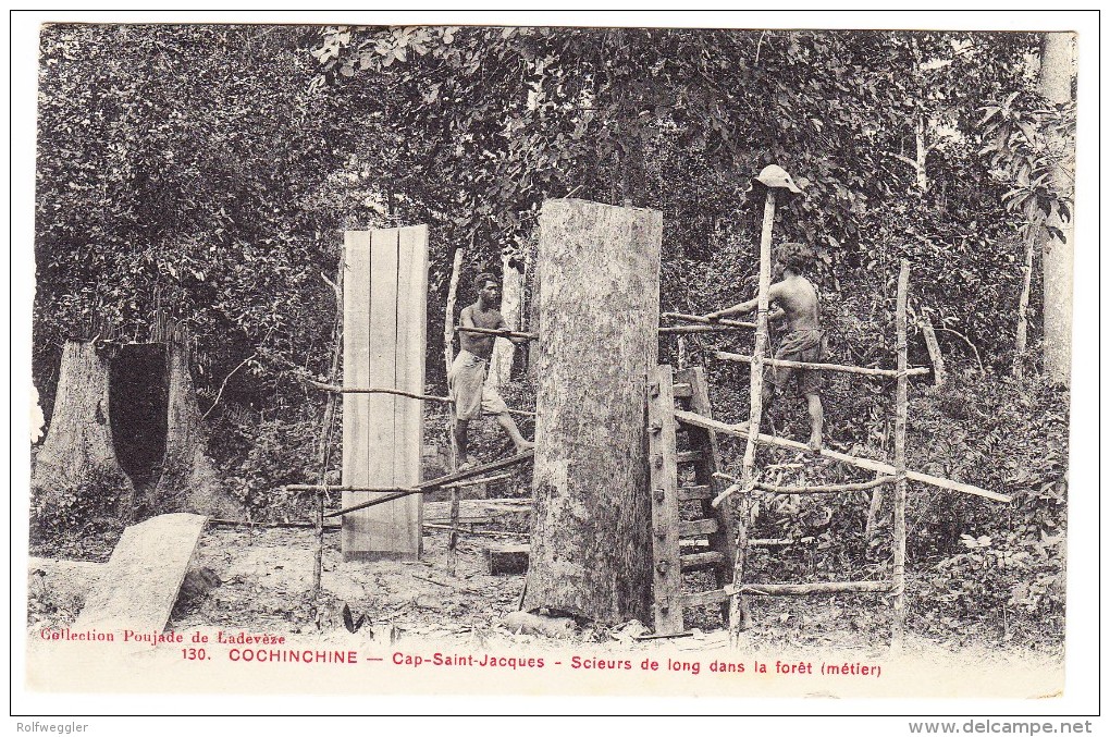 Cochonchine - Cap St Jacques - Scieurs De Long Dans La Forêt - Métier - Viêt-Nam