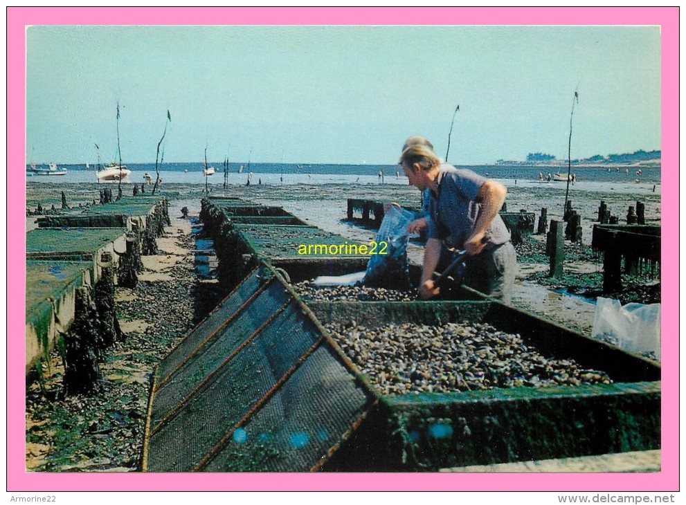 CPM    PORT GIRAUD EN LA PLAINE SUR MER  Parc A Moules - La-Plaine-sur-Mer