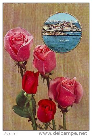 Antibes   H184         Parfum Rose De Fragonard ( Plus De Parfum, Grasse ) - Antibes - Old Town