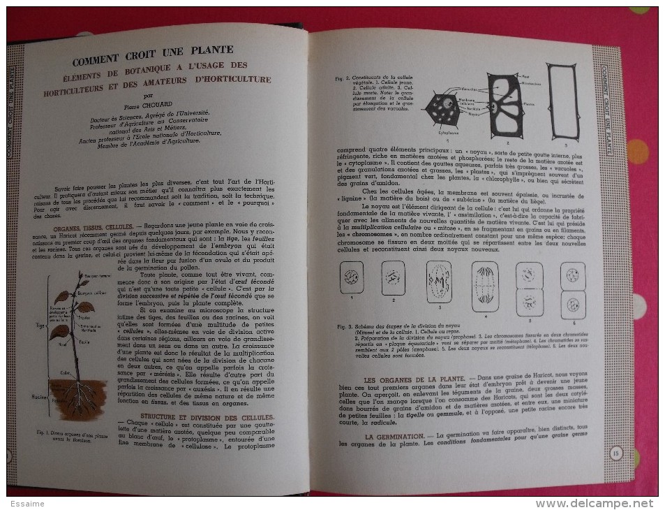 Encyclopédie Pratique Du Jardinage. 1953. édition Fernand Nathan. 492 Pages. - Enciclopedie