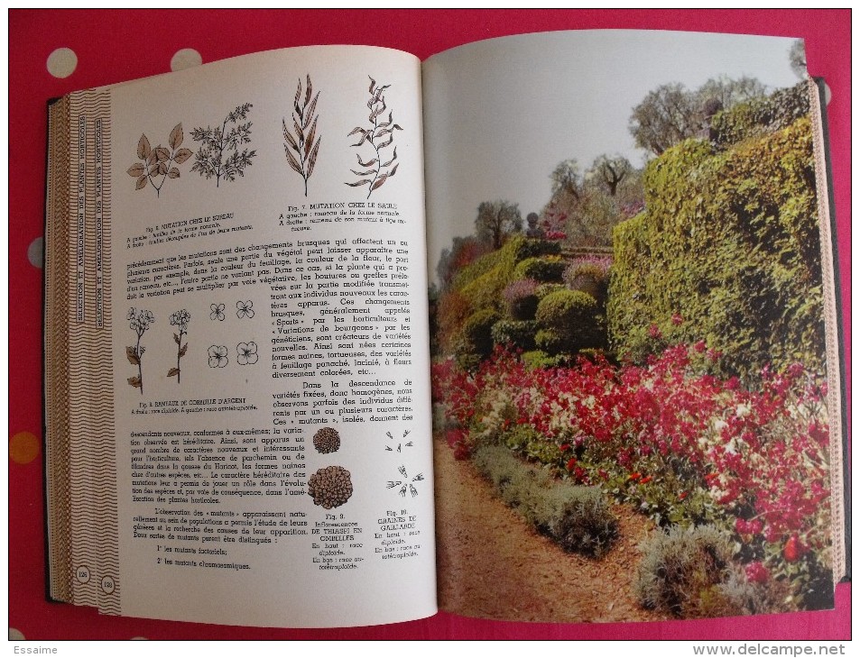 Encyclopédie Pratique Du Jardinage. 1953. édition Fernand Nathan. 492 Pages. - Enciclopedie